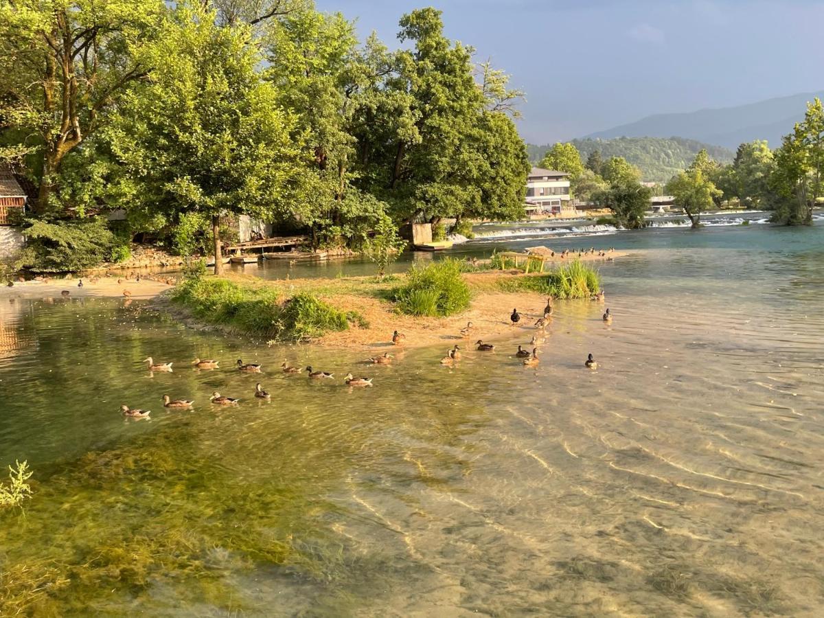 Villa My Island Bihac Bagian luar foto